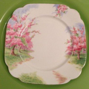 vintage fine china 8 inch plate