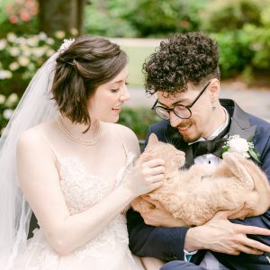 cat-bride-groom