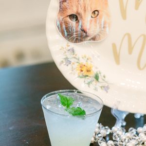 cat-cocktail-sign